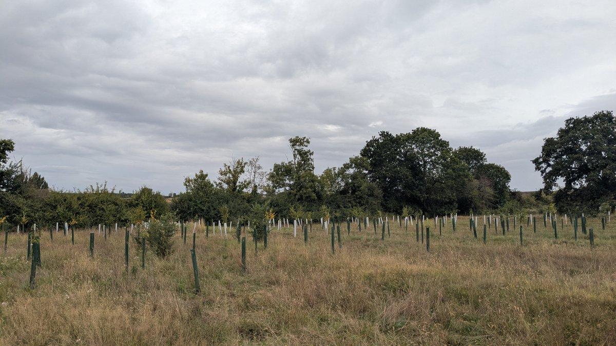 Bubbenhall