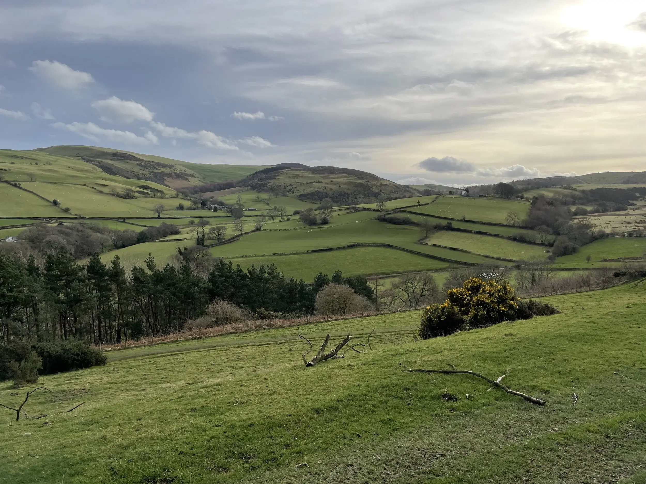 We'll Help You Buy Land