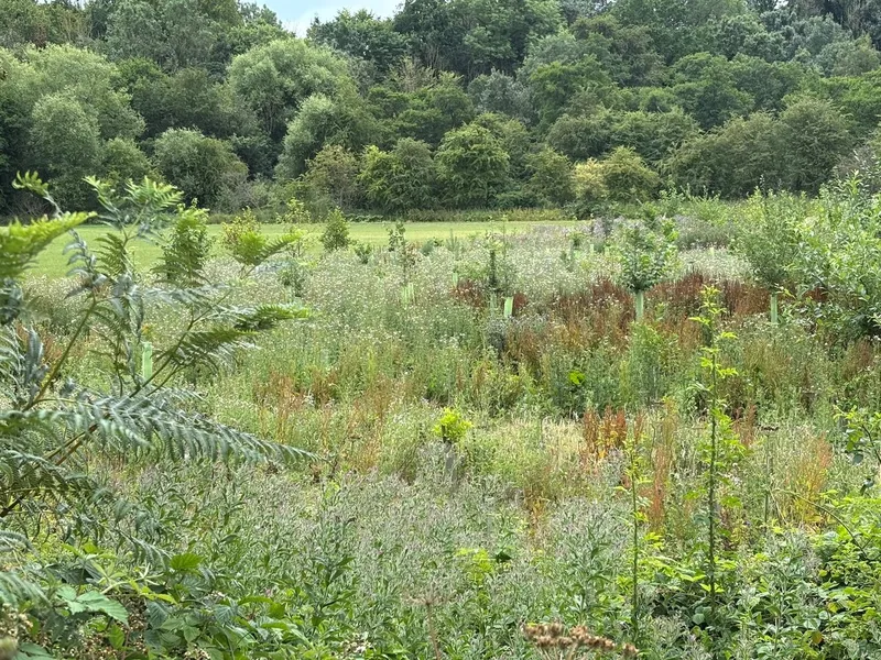 Hutton Rudby - Image 1