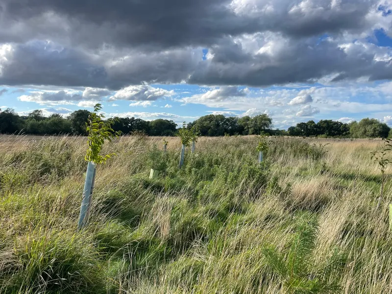 Howard Court - Image 1