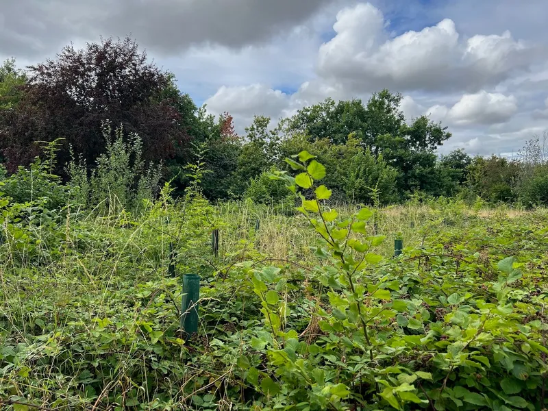 Wadswick Green - Image 1