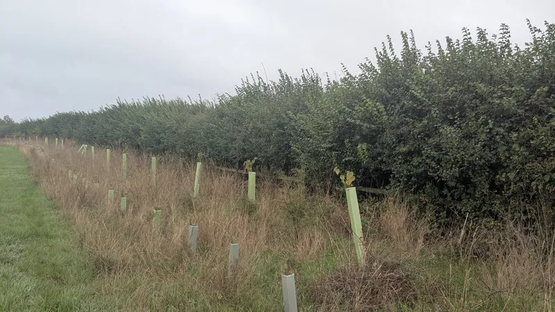 Eastcourt Farm - Image 1
