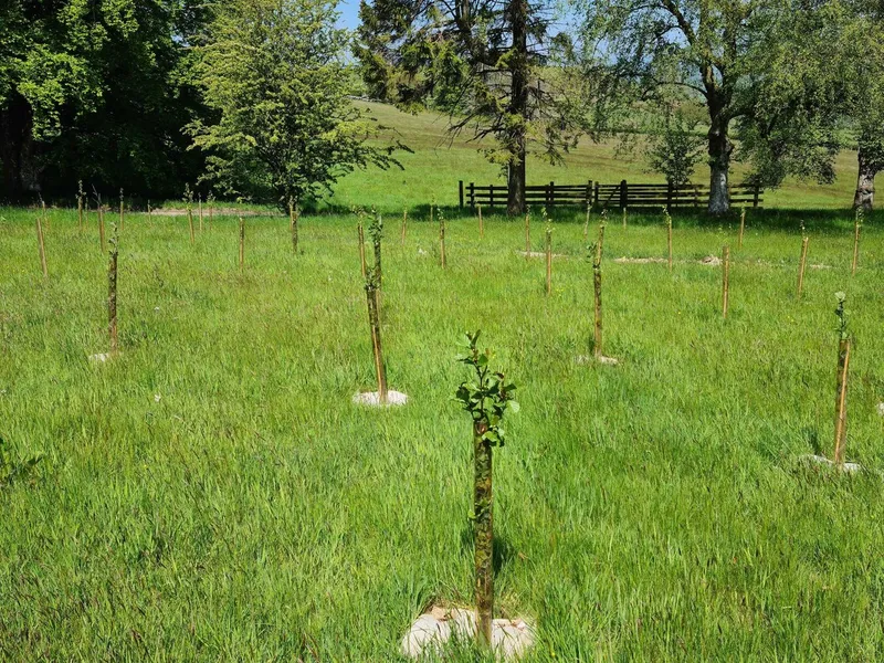 Pantpurlais - Image 1