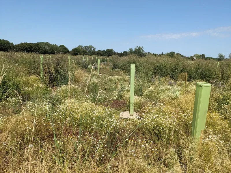 Upp Hall Farm - Image 1