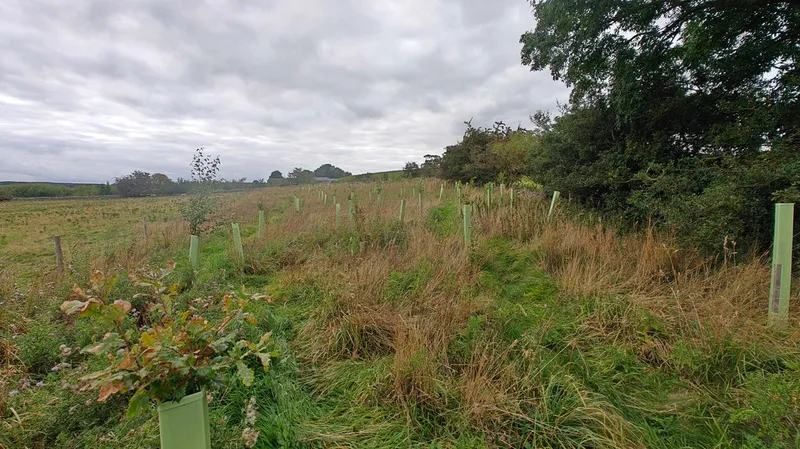 Haydon Bridge - Image 1