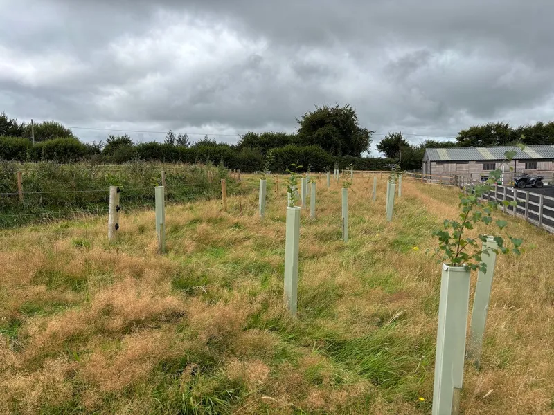 South Molton - Image 1