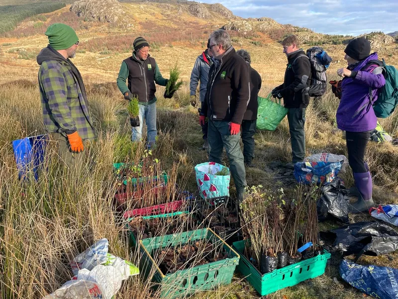 Hardknott Forest - Image 1