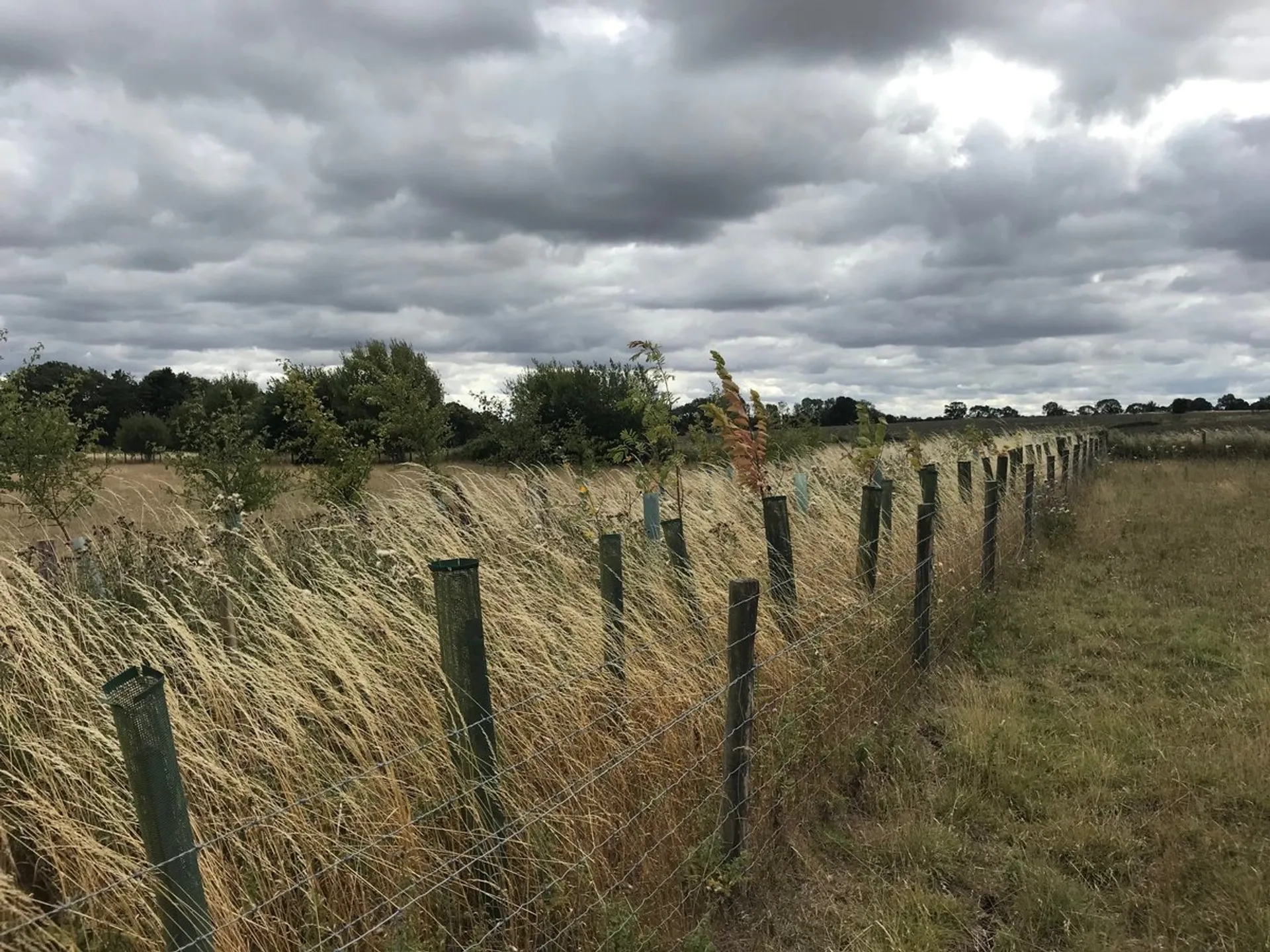 Bourton on the Water