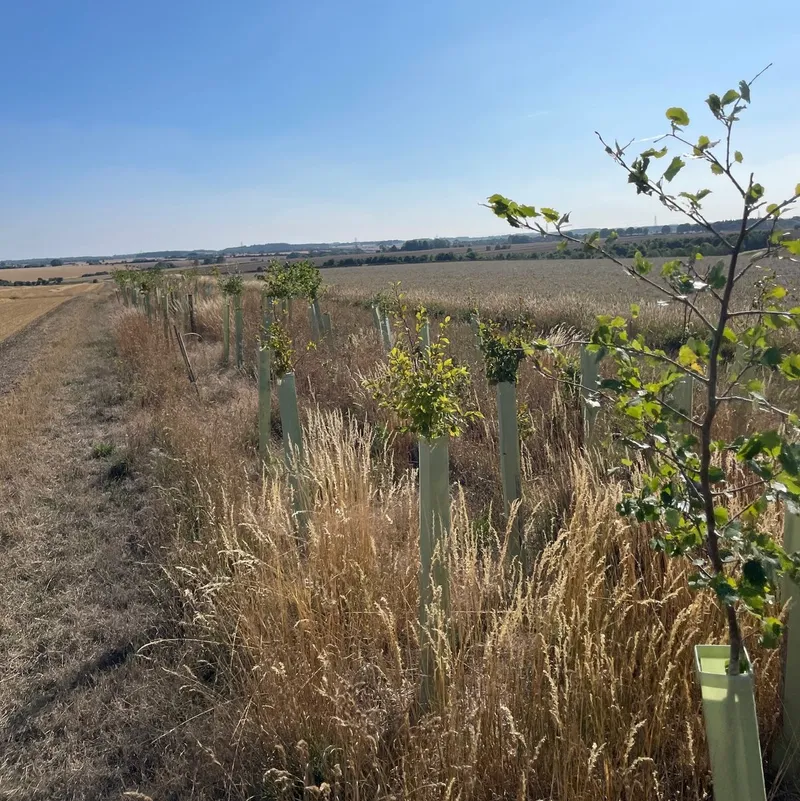 Killkenny Farm - Image 1