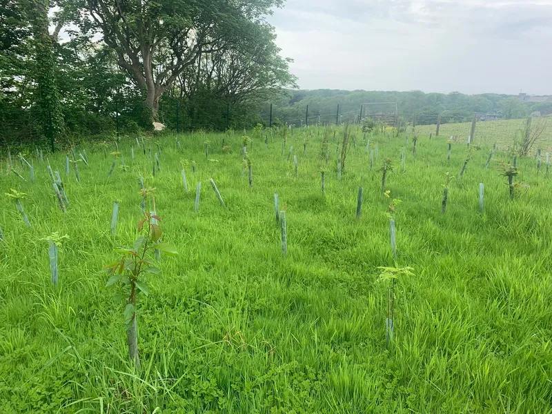 St Donat's Castle - Image 1