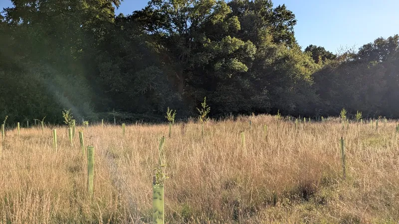 South Lodge - Image 1