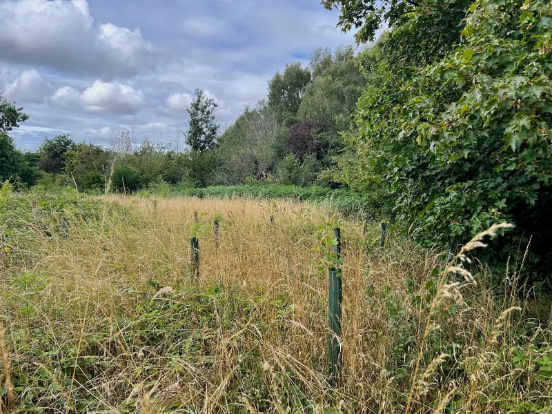 Wadswick Green - Image 2