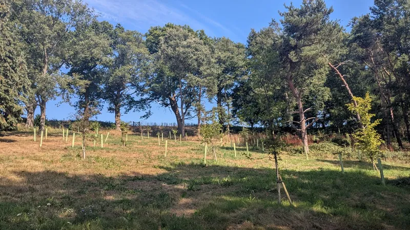 Thorncombe Street - Image 2