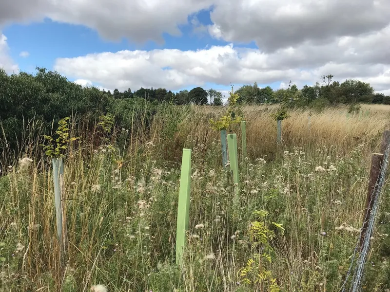 Bourton on the Water - Image 2