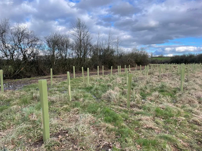 South Barrow - Image 2