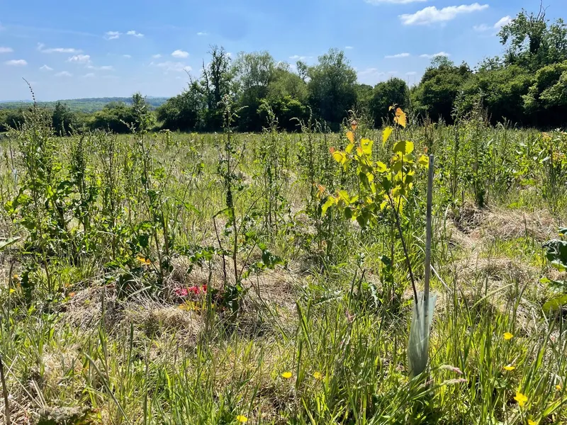 Highchurch Farm - Image 2