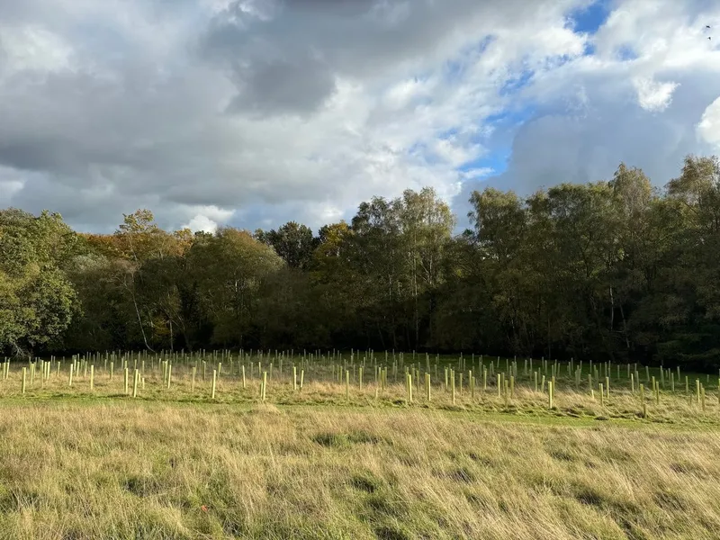 Pennyhill Park - Image 2