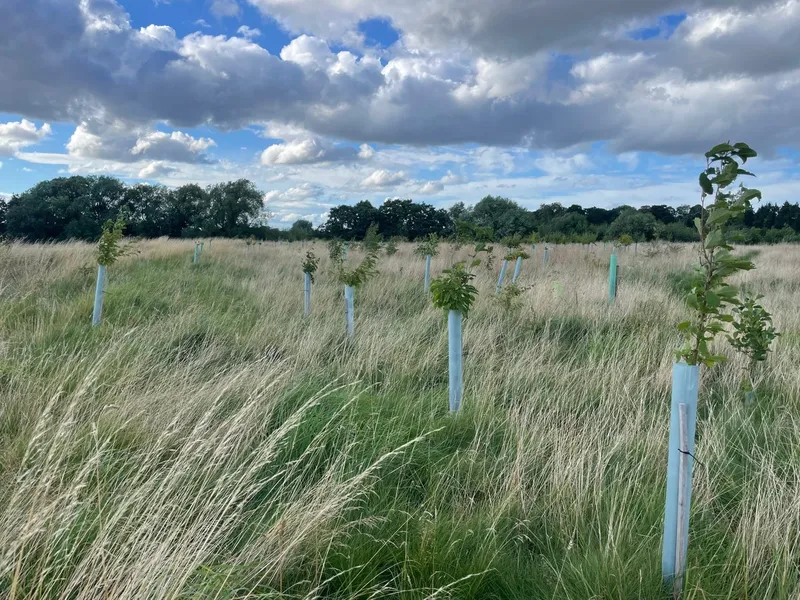 Howard Court - Image 2