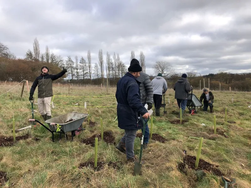 Hazeland Wood - Image 2