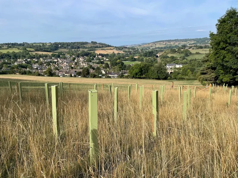 Box & Colerne - Image 2