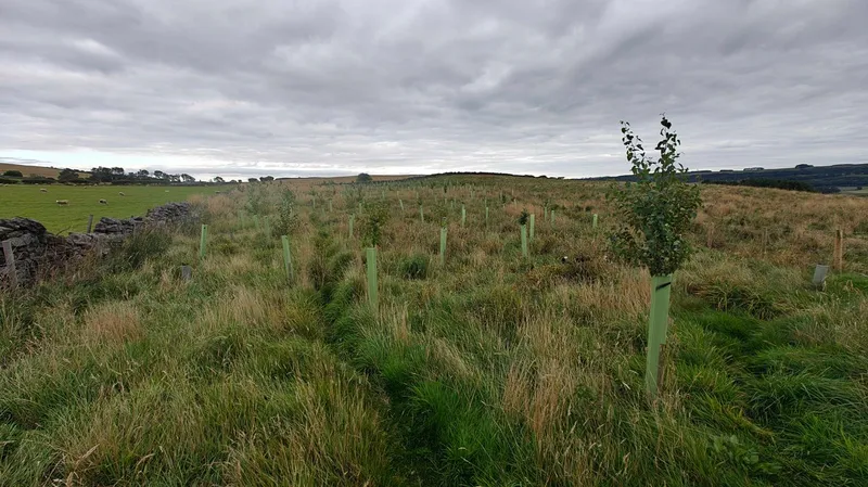 Haydon Bridge - Image 2