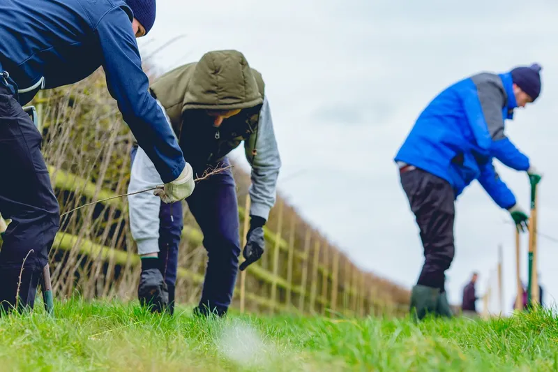 Eastcourt Farm - Image 2