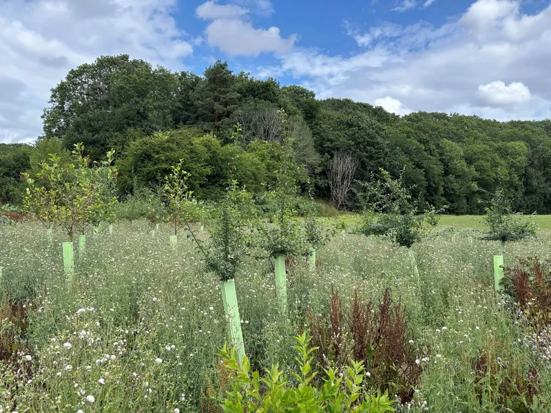 Hutton Rudby - Image 2