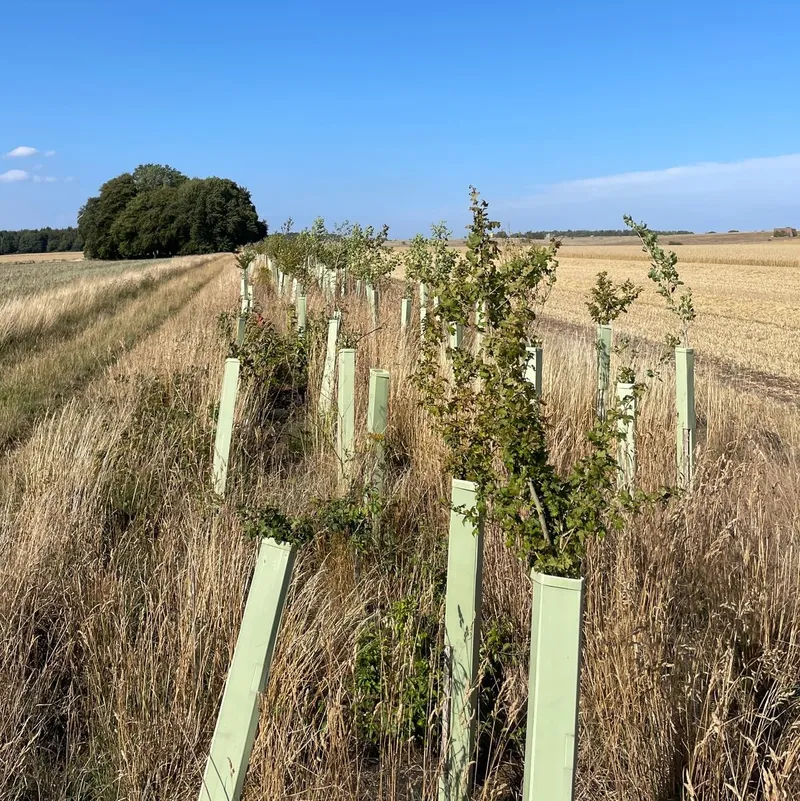 Killkenny Farm - Image 2