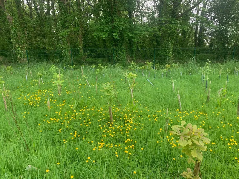 St Donat's Castle - Image 2