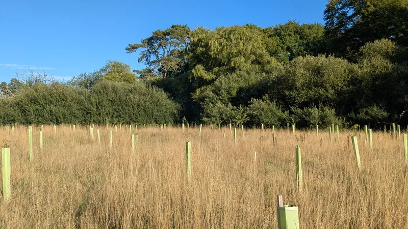 South Lodge - Image 2