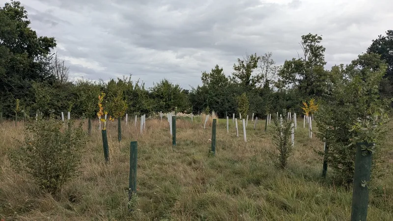 Bubbenhall - Image 2