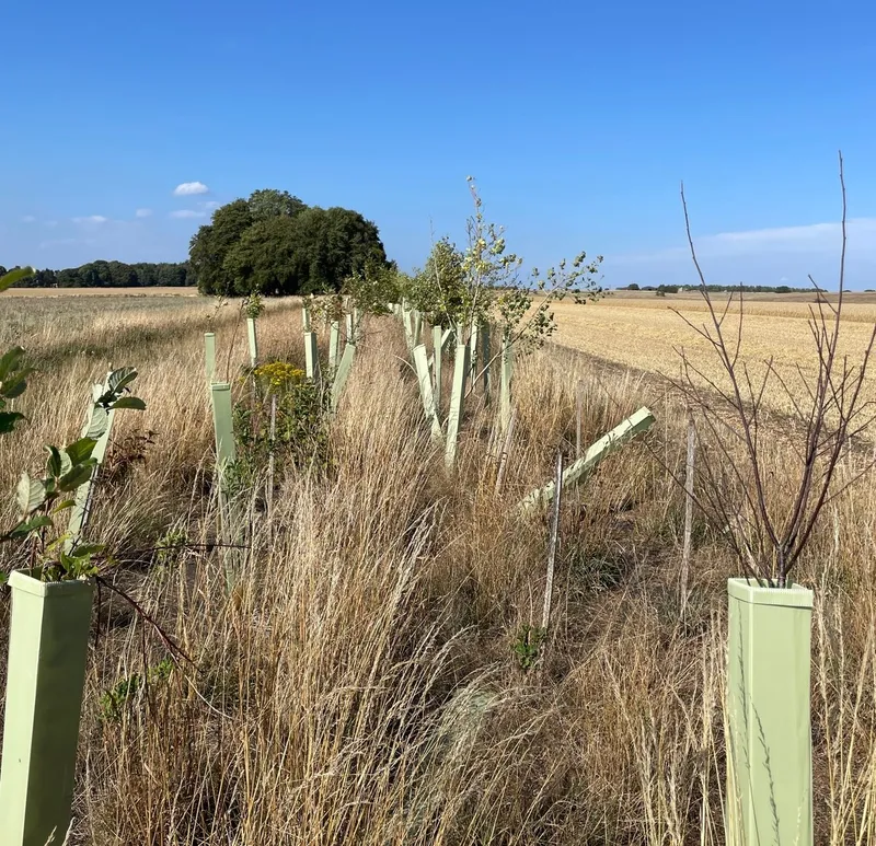 Killkenny Farm - Image 3