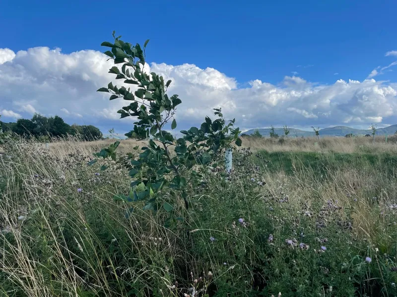 Howard Court - Image 3