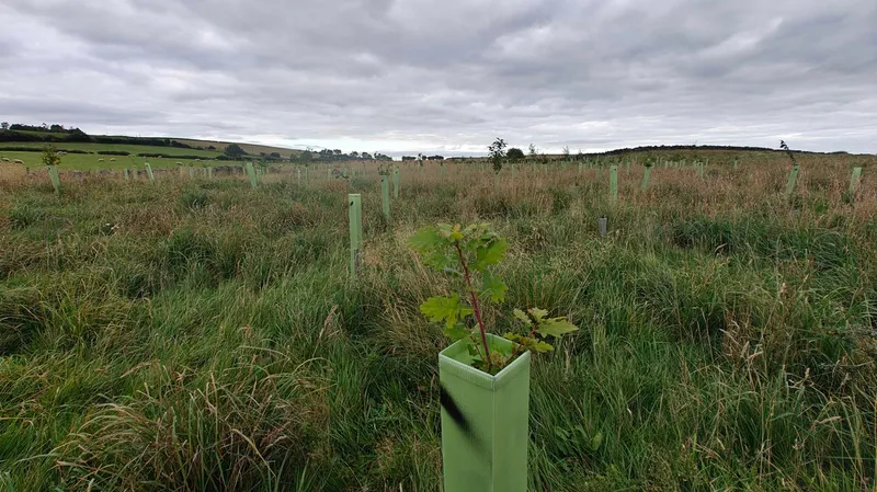 Haydon Bridge - Image 3