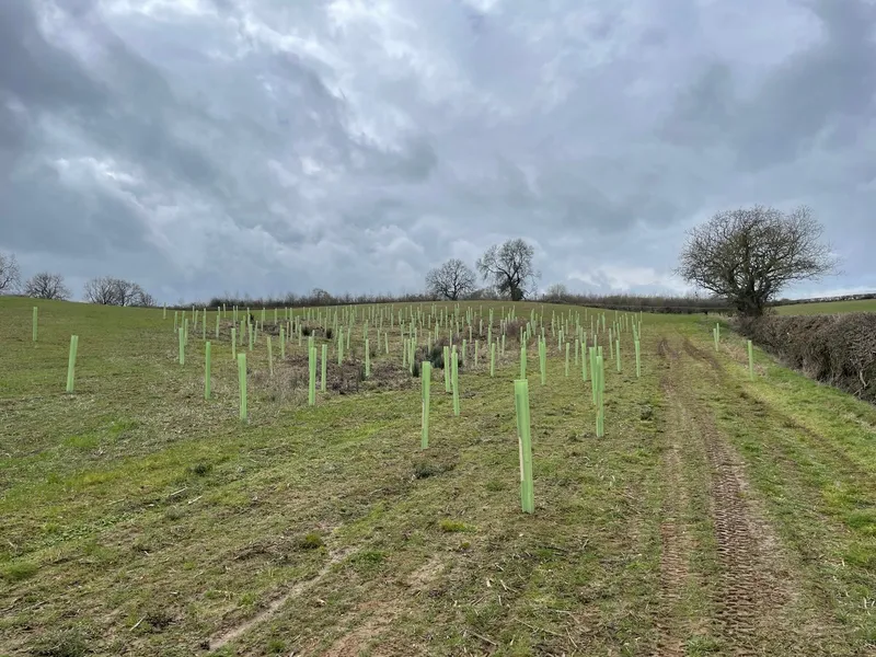 Glebe farm - Image 3