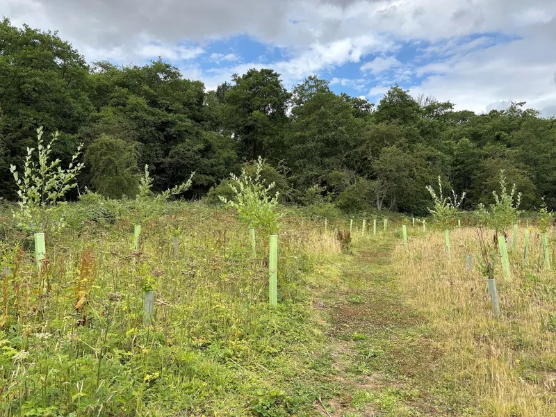 Hutton Rudby - Image 3