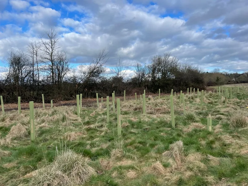 South Barrow - Image 3