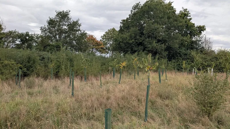 Bubbenhall - Image 3