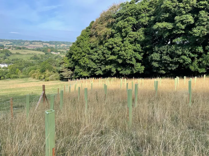 Box & Colerne - Image 3