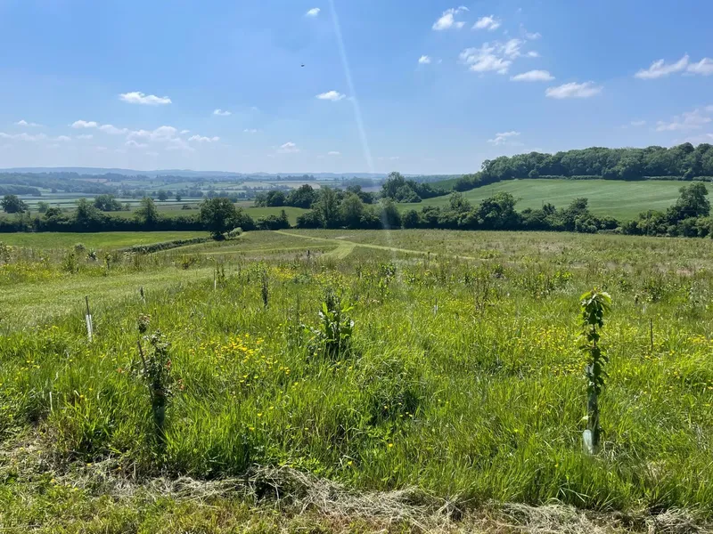 Highchurch Farm - Image 3