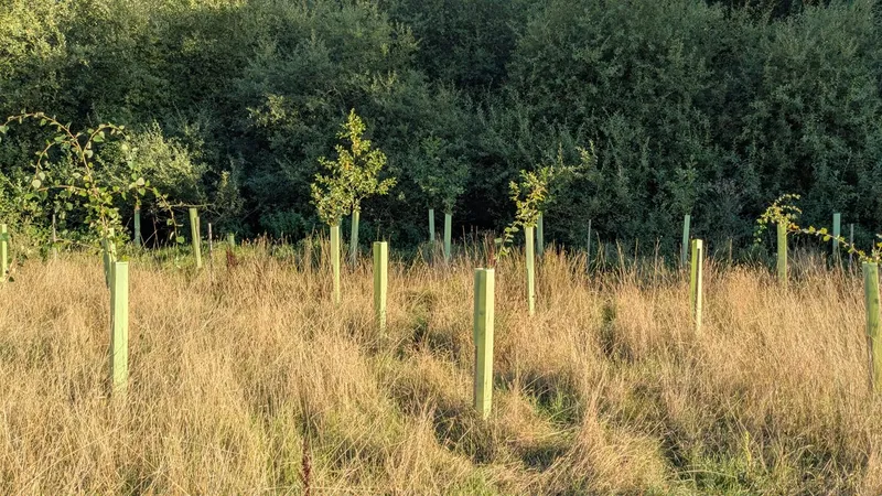 South Lodge - Image 3