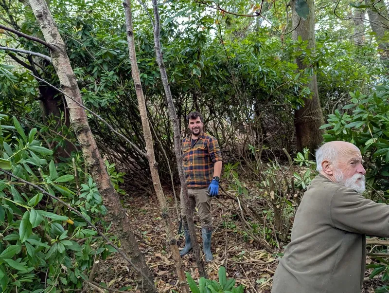 Dolberthog Wood - Image 3