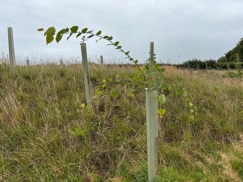 South Molton - Image 3