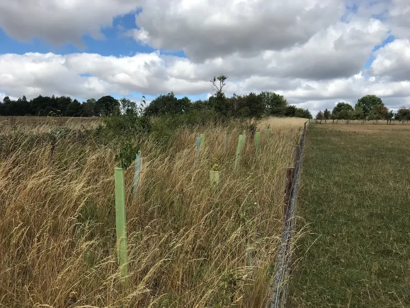 Bourton on the Water - Image 3