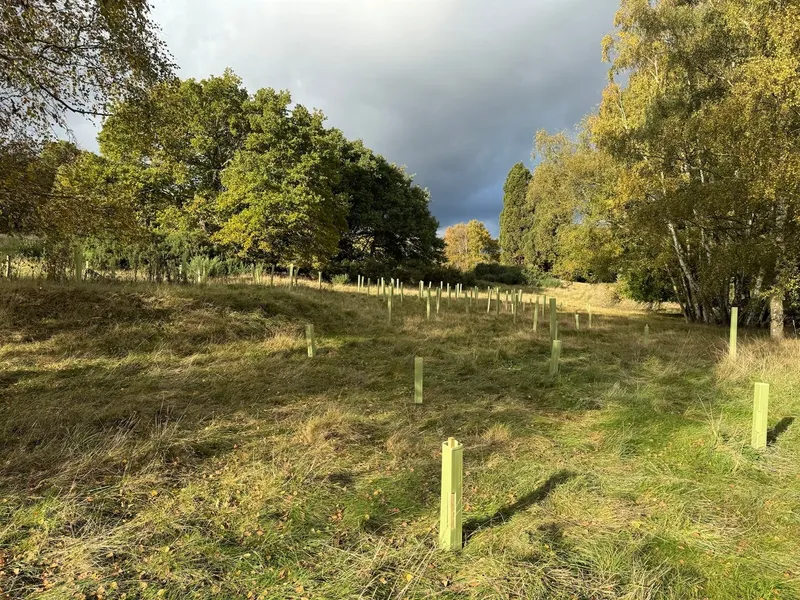 Pennyhill Park - Image 3