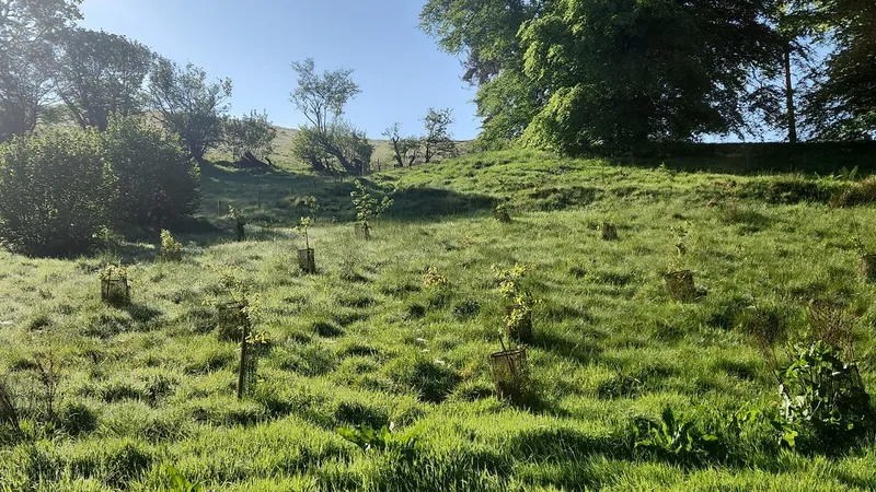 Pantpurlais - Image 3