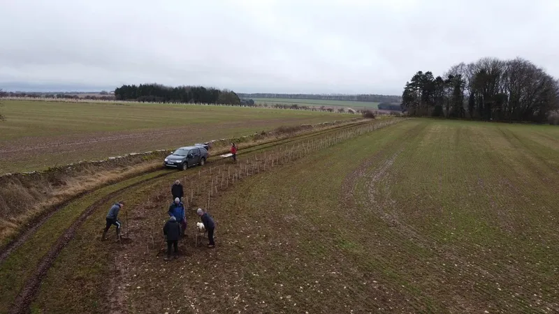 Lower Hampen Farm - Image 4