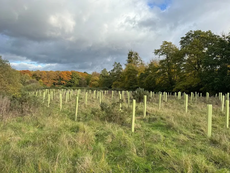 Pennyhill Park - Image 4