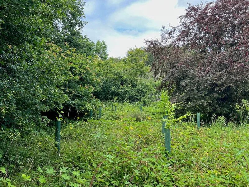 Wadswick Green - Image 4