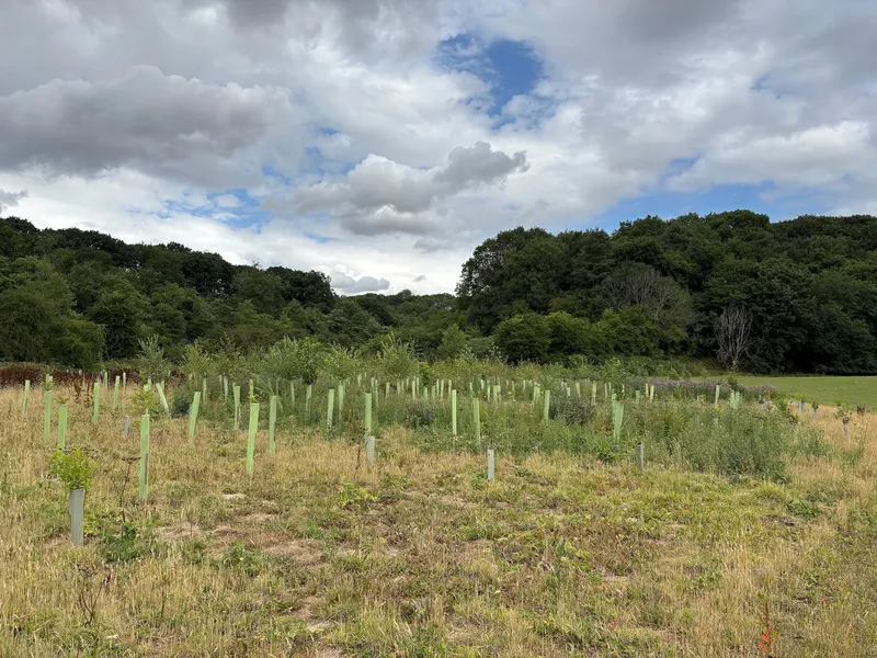 Hutton Rudby - Image 4